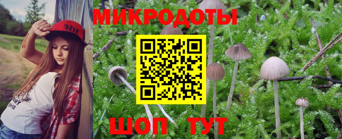 Псилоцибиновые грибы прущие грибы Грозный